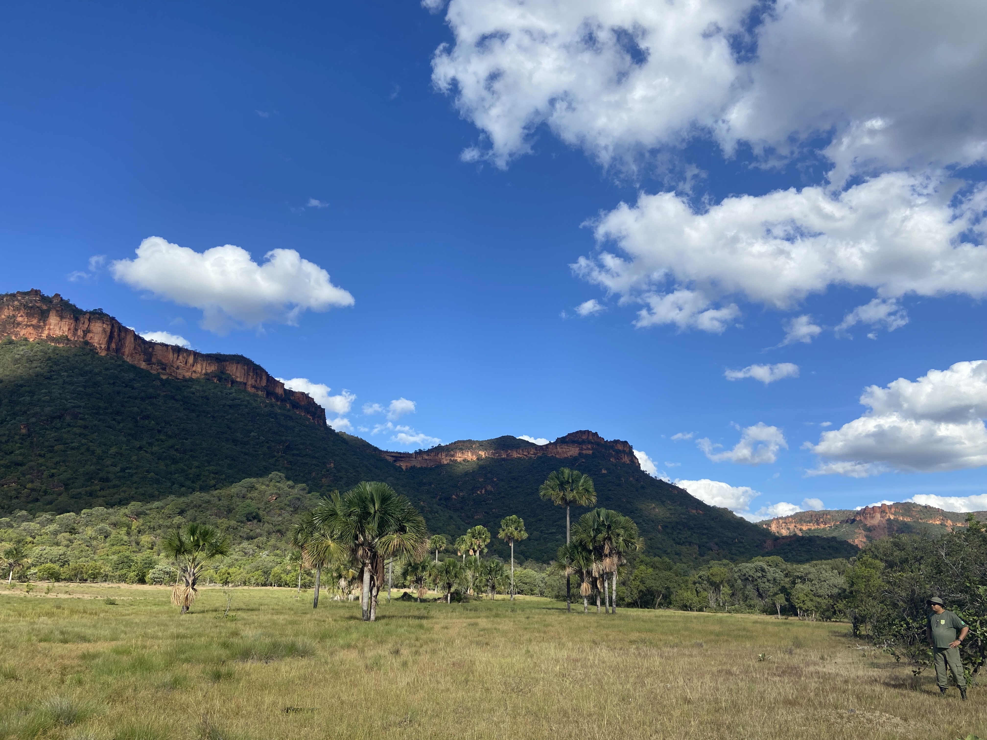 Paisagem de cerrado e relevos da Serra Gerais